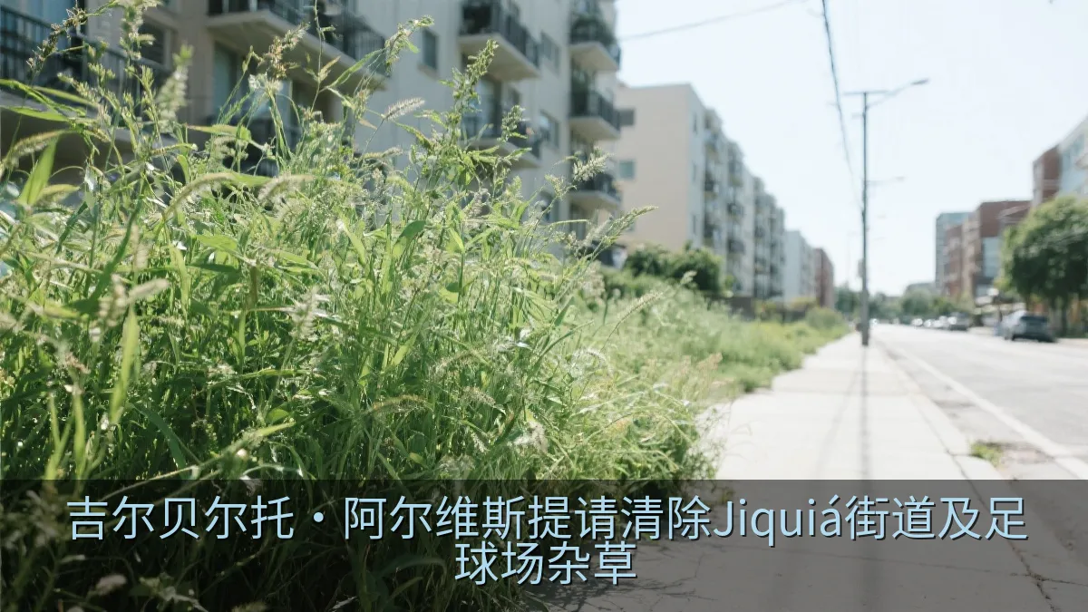吉尔贝尔托·阿尔维斯提请清除Jiquiá街道及足球场杂草