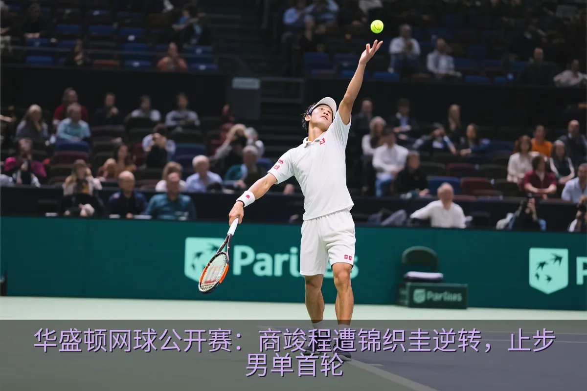 锦织圭在华盛顿网球公开赛中发球